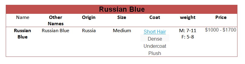 Russian-Blue-price