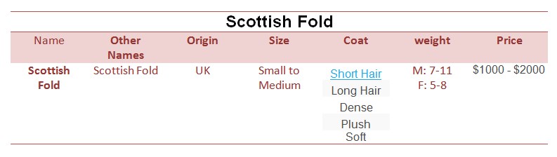 Scottish-Fold-price