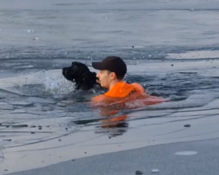 dog-rescue-lake-min
