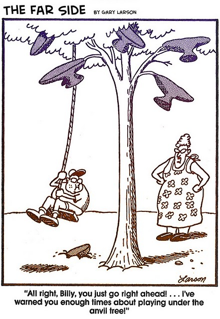 20 Far Side Spider Cartoon By Gary Larson - Now Wakeup